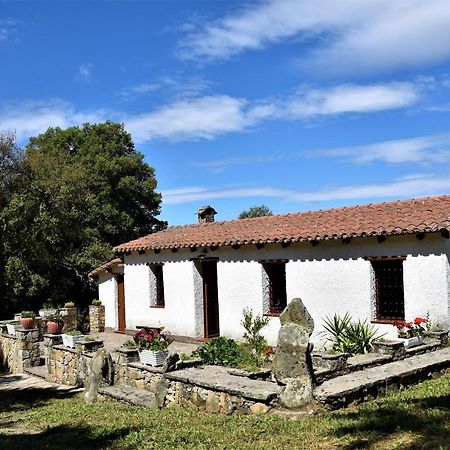 B&B I Menhir Sorgono Dış mekan fotoğraf