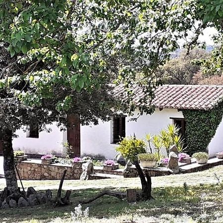 B&B I Menhir Sorgono Dış mekan fotoğraf