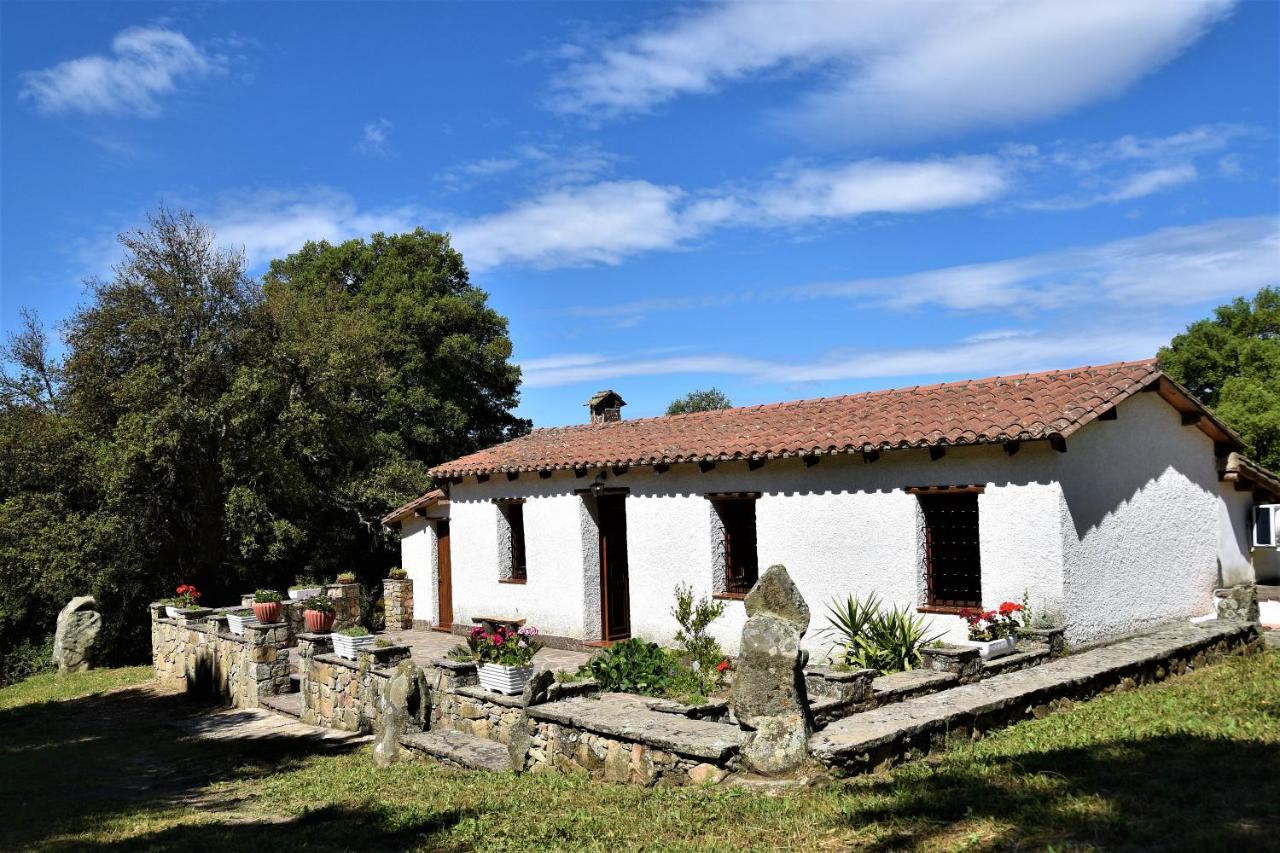 B&B I Menhir Sorgono Dış mekan fotoğraf