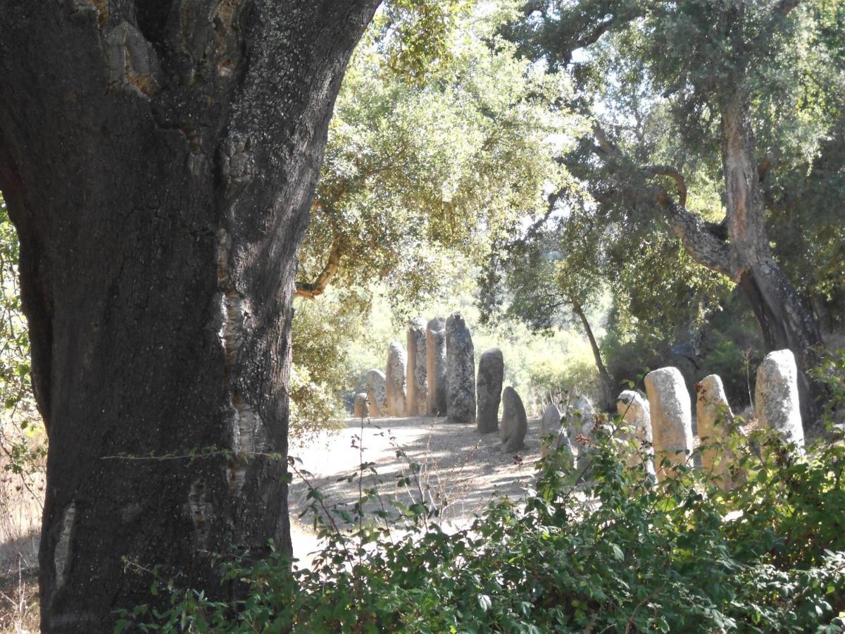 B&B I Menhir Sorgono Dış mekan fotoğraf