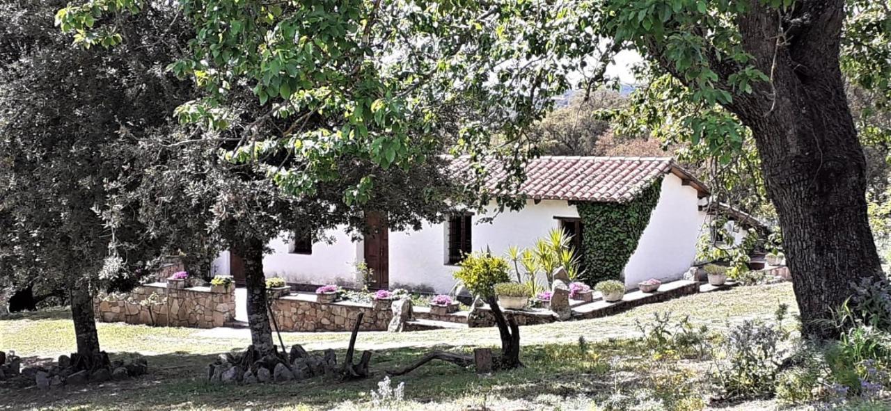 B&B I Menhir Sorgono Dış mekan fotoğraf