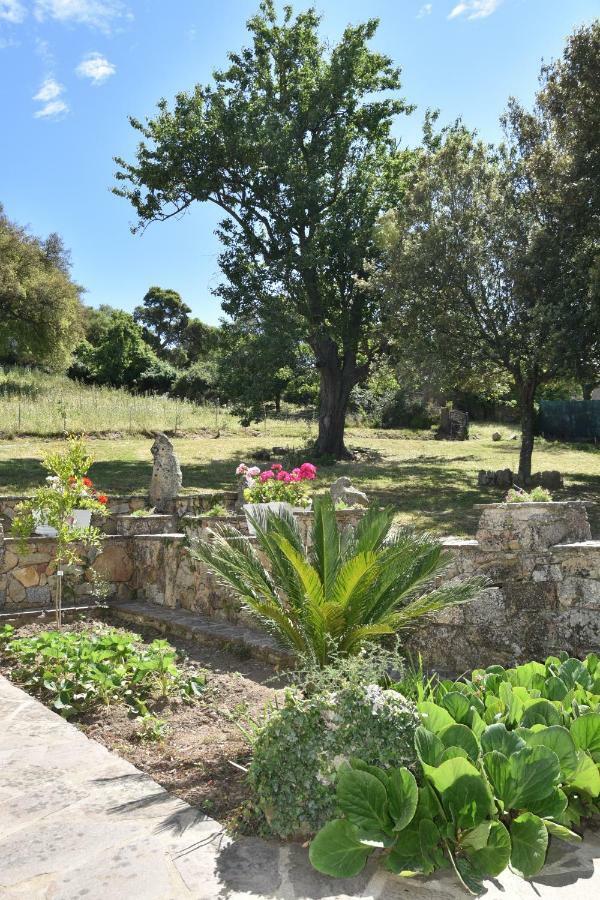 B&B I Menhir Sorgono Dış mekan fotoğraf