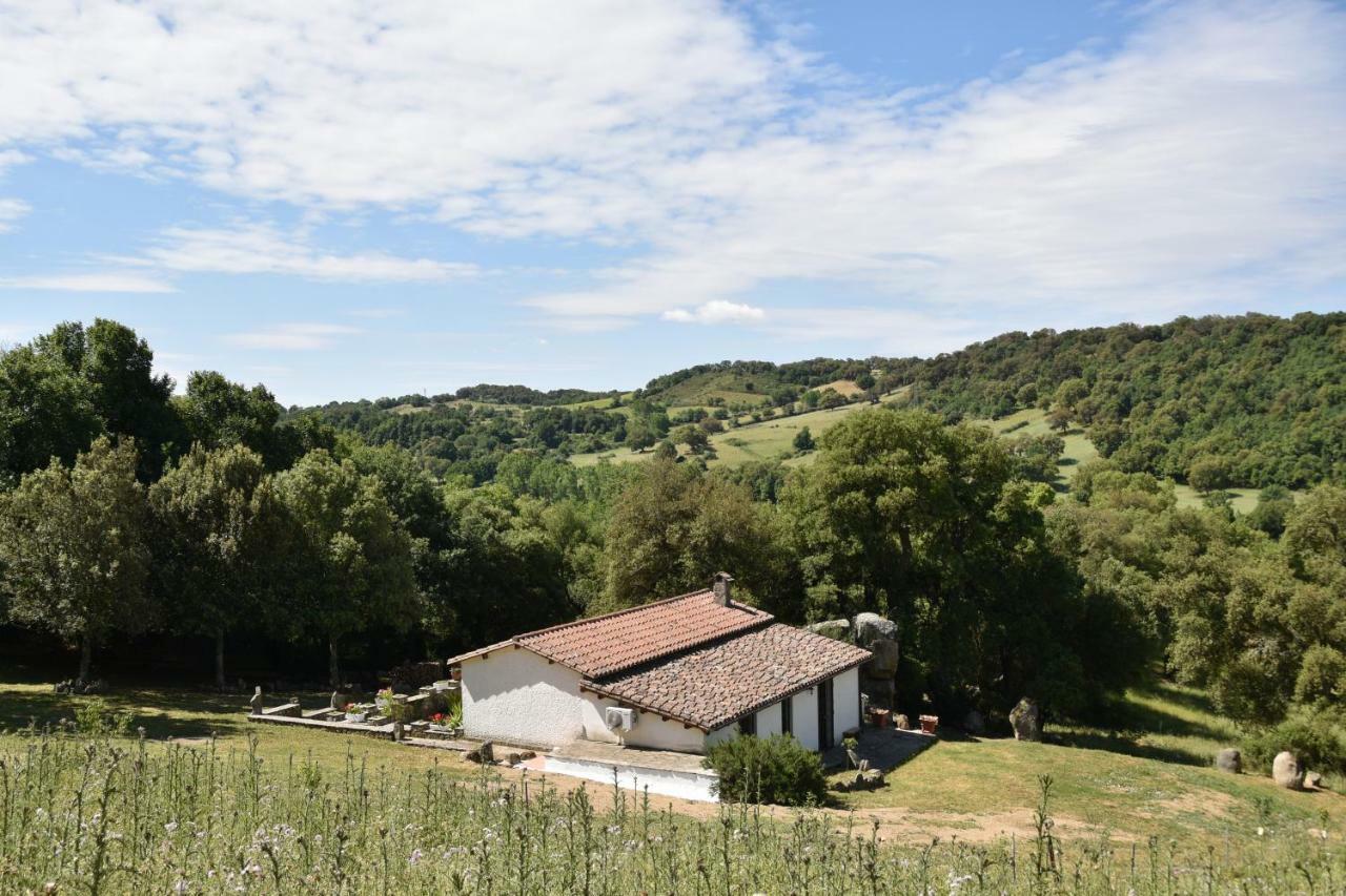 B&B I Menhir Sorgono Dış mekan fotoğraf