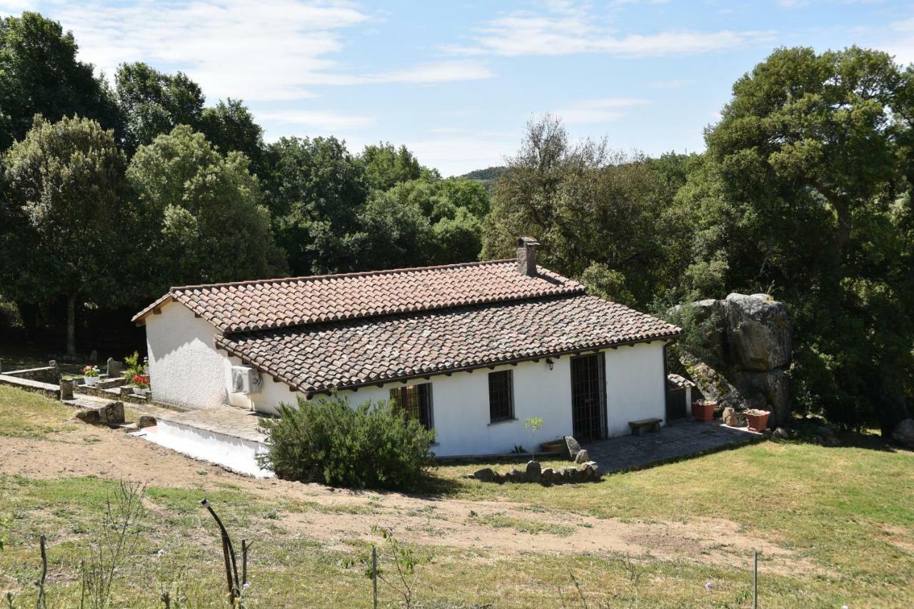 B&B I Menhir Sorgono Dış mekan fotoğraf