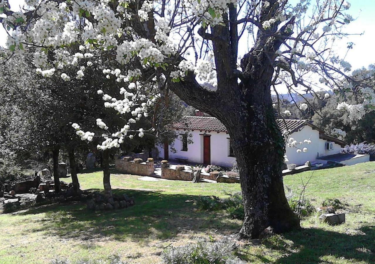 B&B I Menhir Sorgono Dış mekan fotoğraf