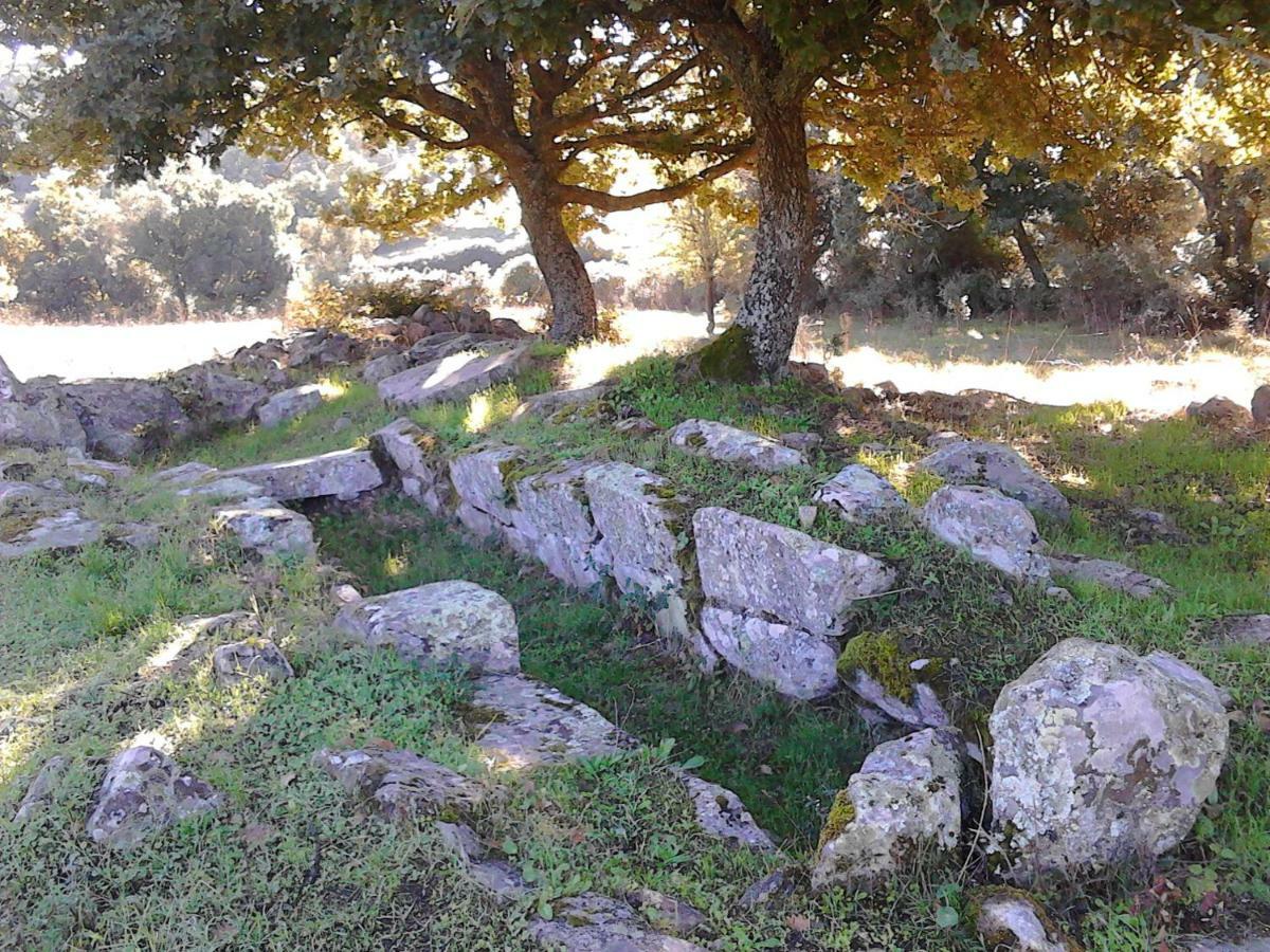 B&B I Menhir Sorgono Dış mekan fotoğraf