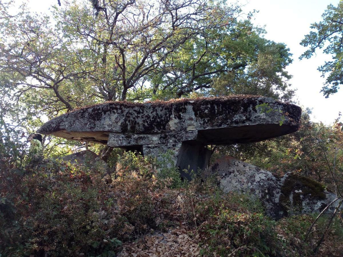 B&B I Menhir Sorgono Dış mekan fotoğraf